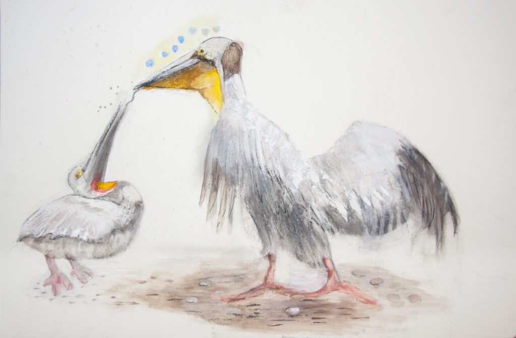 Ros Bieber's mixed media painting of a mother pelican feeding her young chick.
