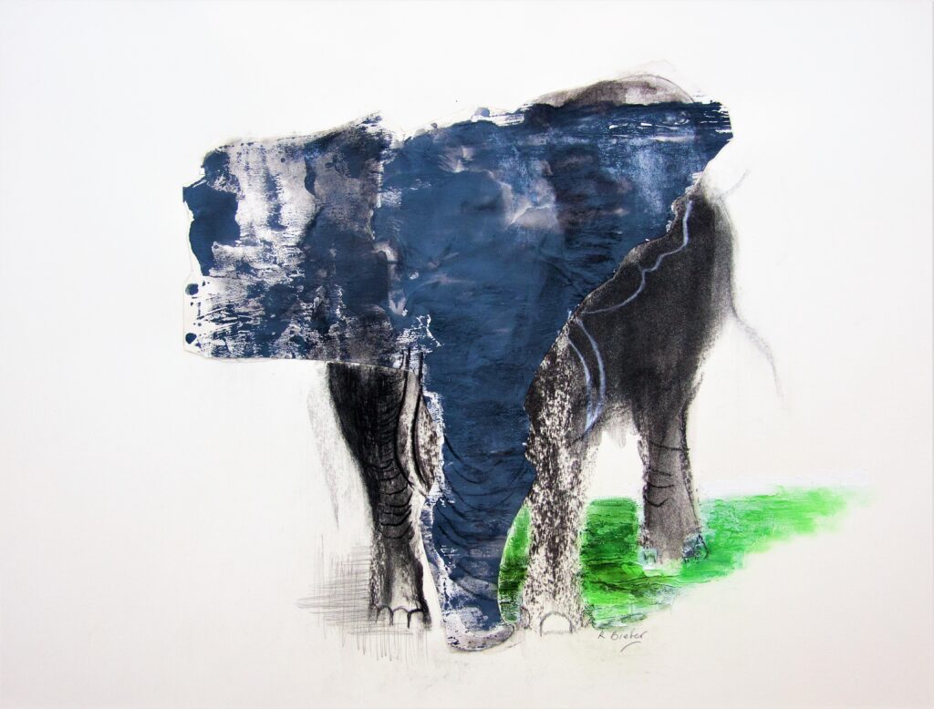 Ros Bieber's monoprint and collage showing an elephant standing and facing the viewer head-on.