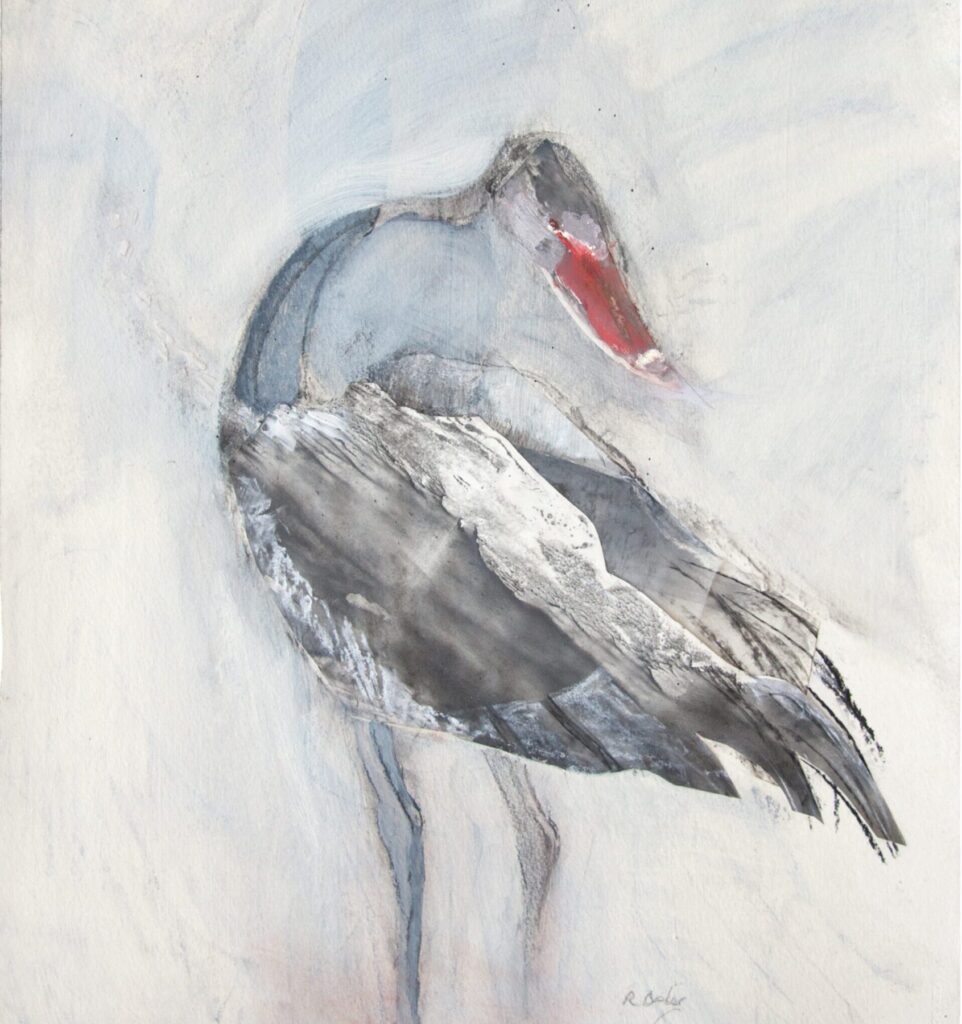 Ros Bieber's monoprint and collage showing a swan, its head twisted backwards towards its tail.