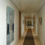 Some of British artist Hilary Barry's work on display in an exhibition at DMH Stallard.